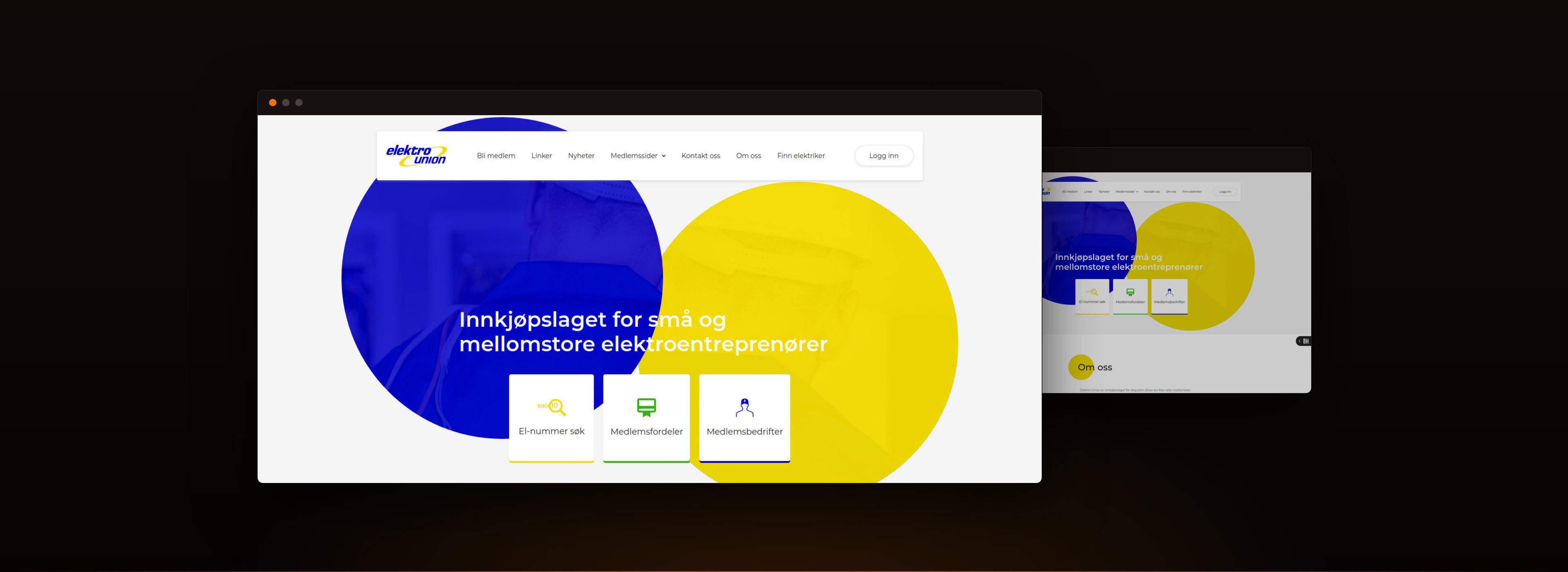 Elektrounion