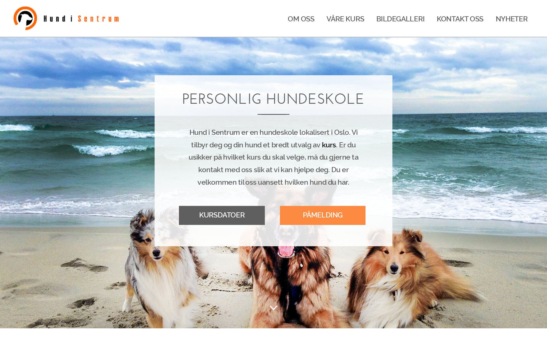 Hundisentrum screenshot